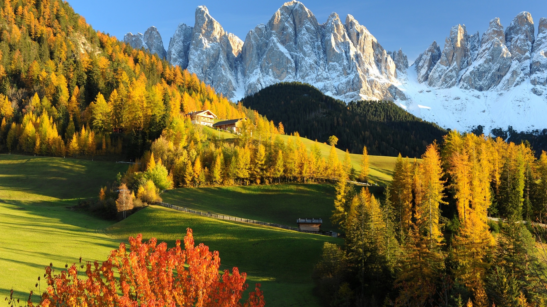 秋天森林,意大利阿尔卑斯山风景桌面壁纸