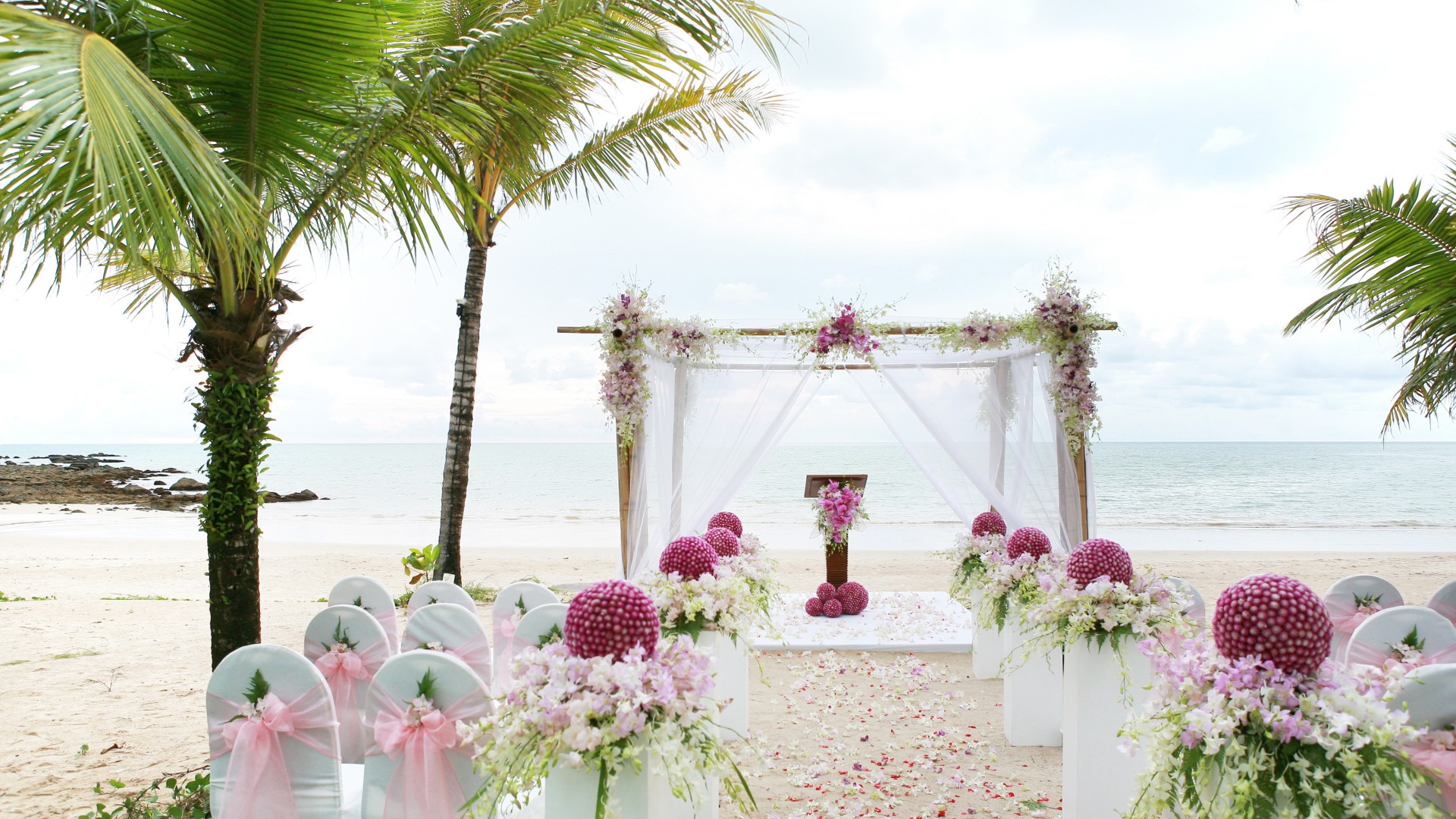 浪漫的海滩婚礼风光桌面壁纸