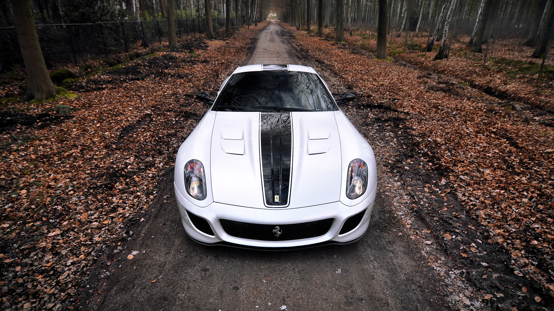 法拉利599 GTO,超级跑车桌面壁纸