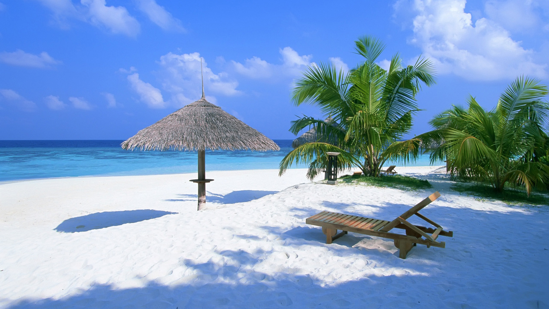 巴哈马,海洋,沙滩,躺椅,棕榈树,夏天风景桌面壁纸