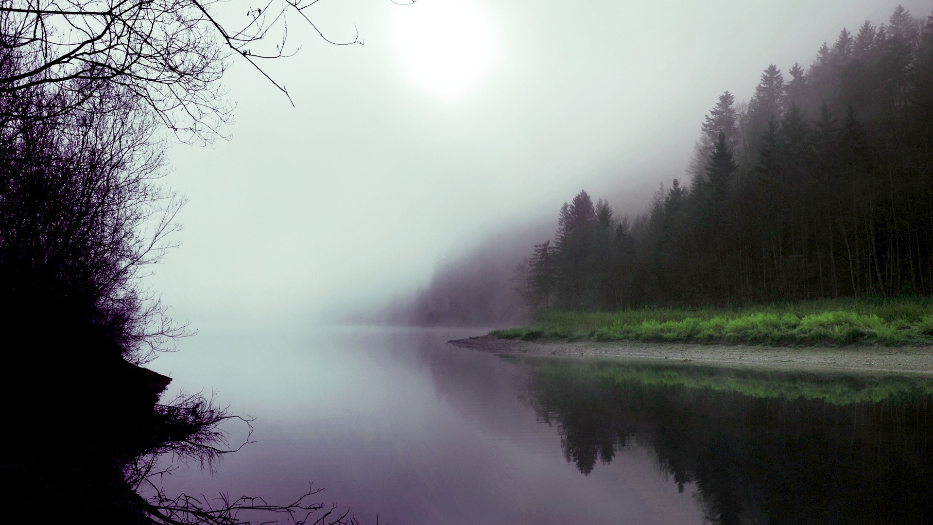 雾，森林，湖泊，自然风景壁纸