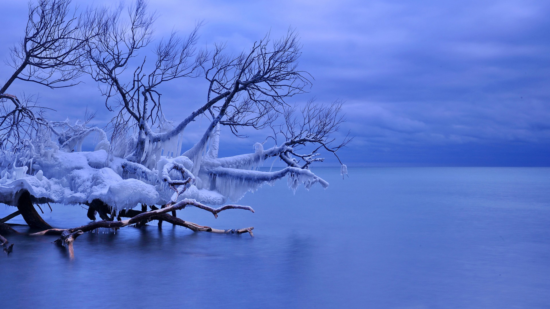 冬天风景,加拿大,惠特比,安大略湖畔,桌面壁纸