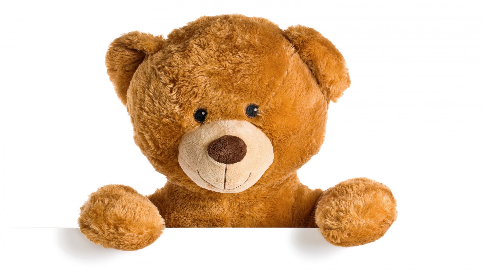 泰迪熊，熊，玩具，可爱，泰迪熊，桌面壁纸