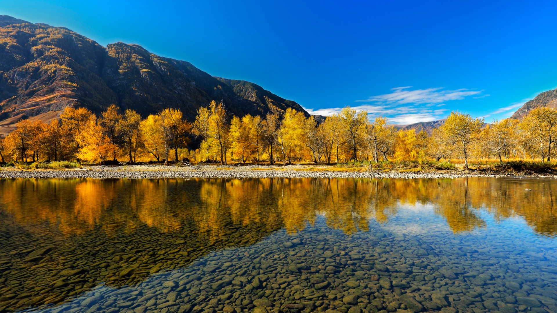 阿尔泰山,秋天,河流,倒影,美丽的风景桌面壁纸