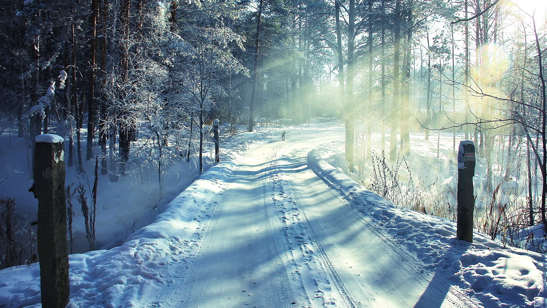 白雪覆盖的林间小路 冬天雪景桌面壁纸