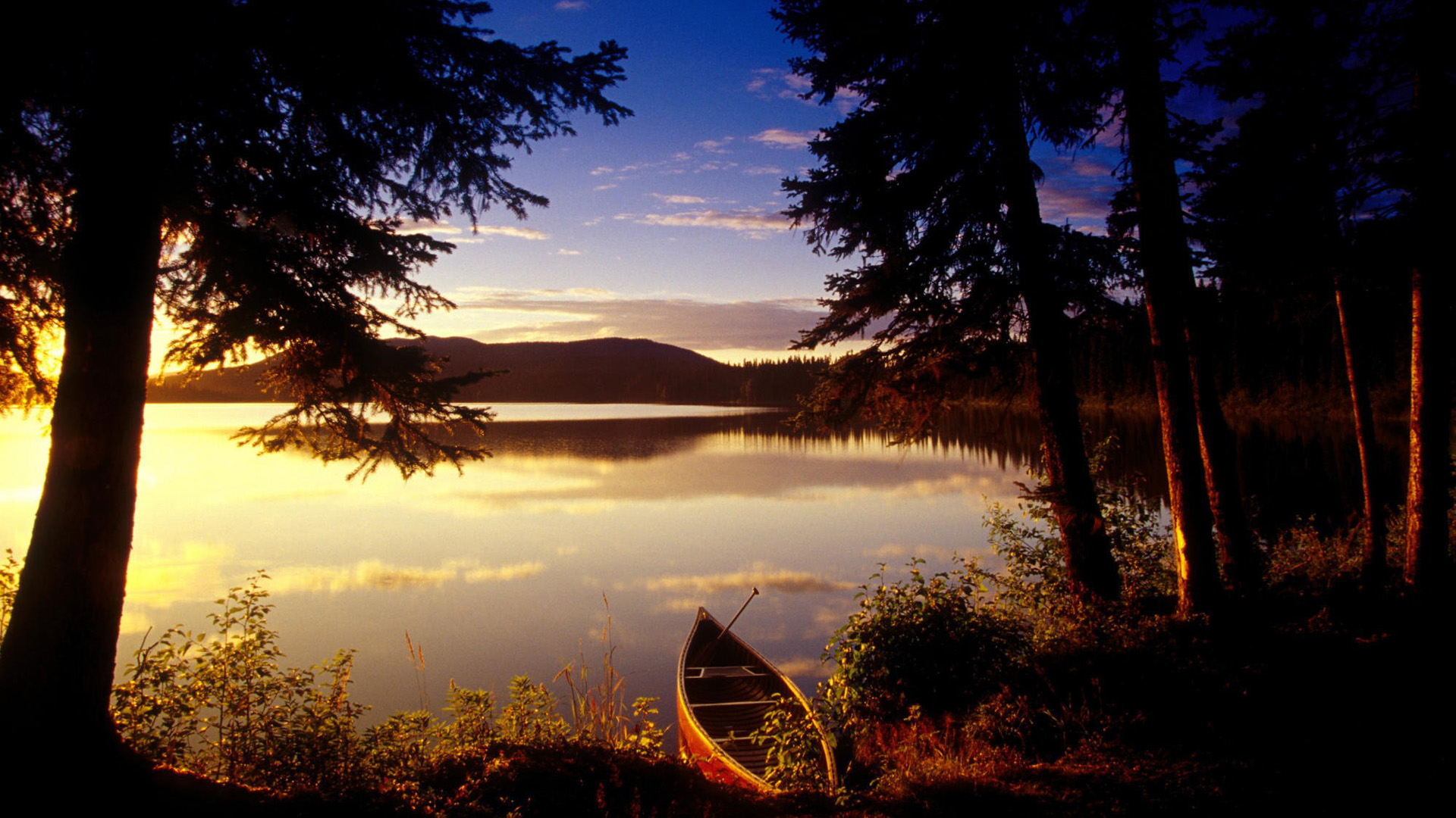 船,湖,日落,树木,美丽的自然风景壁纸