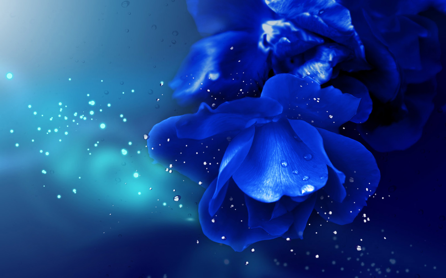 绚丽蓝色花朵壁纸
