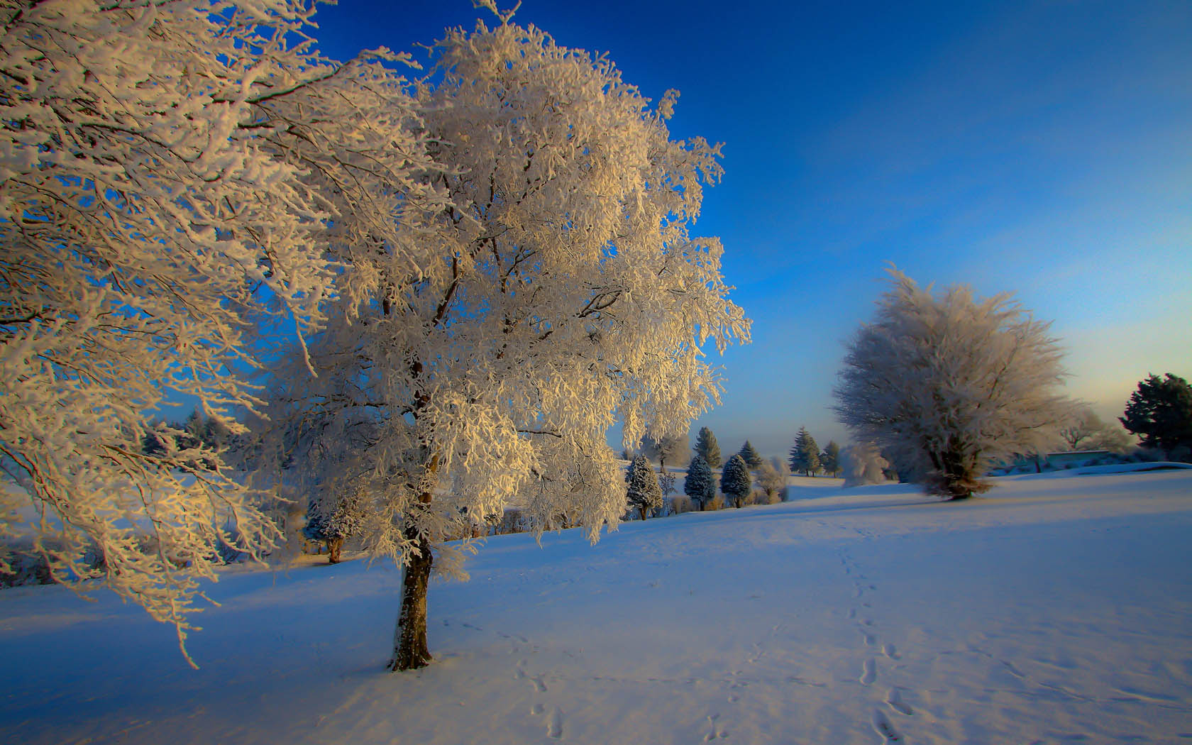 雪后美景图片唯美图片