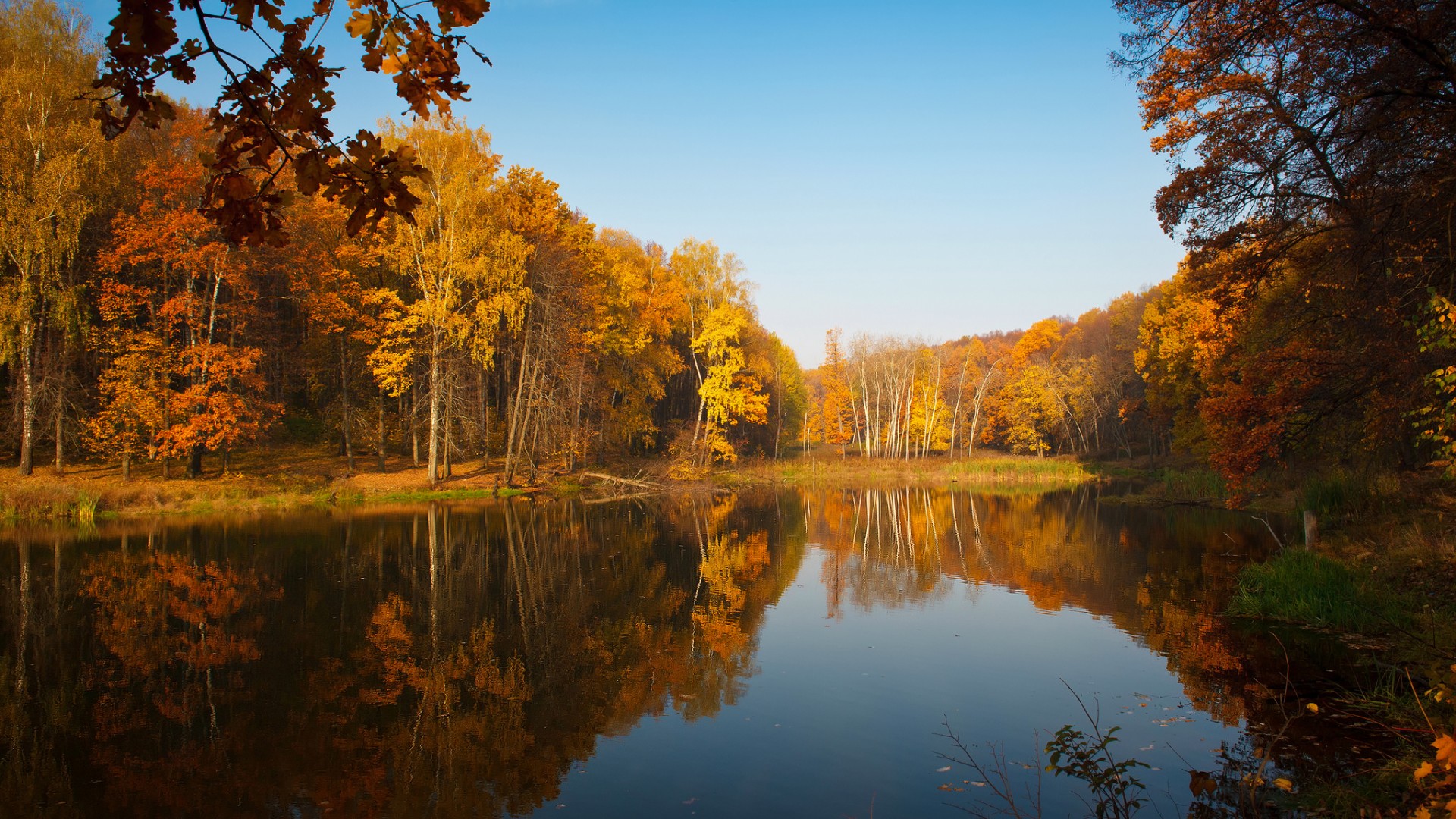 自然,秋天,树木,湖泊,倒映,美丽的景色,风景桌面壁纸