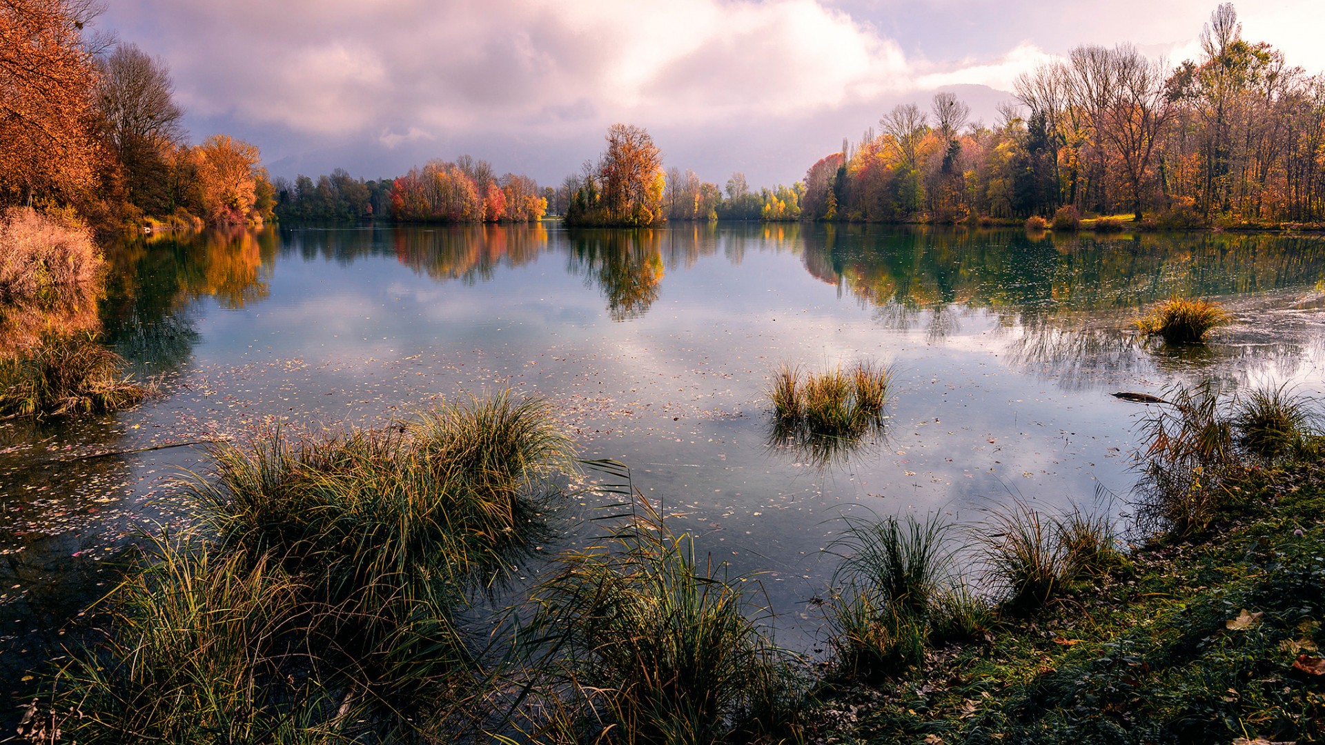 池塘湖水,秋季,树木,风景桌面壁纸