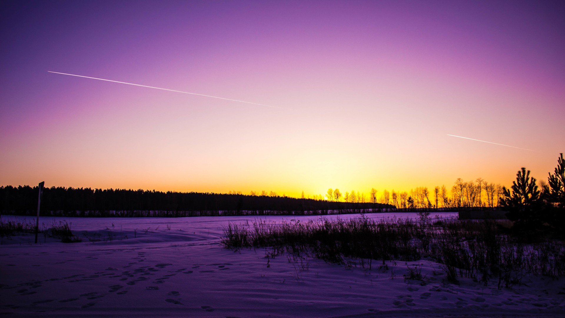 雪,冬天,美丽,自然,紫色风景壁纸