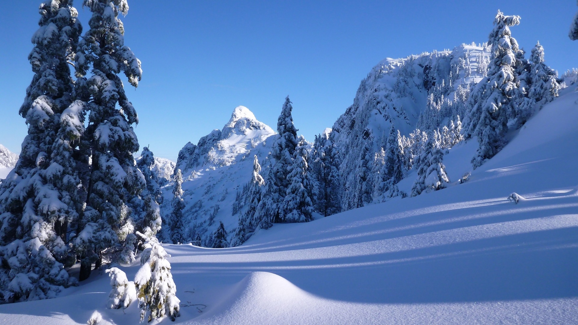 冬天,雪景,雪山,树,自然风景桌面壁纸