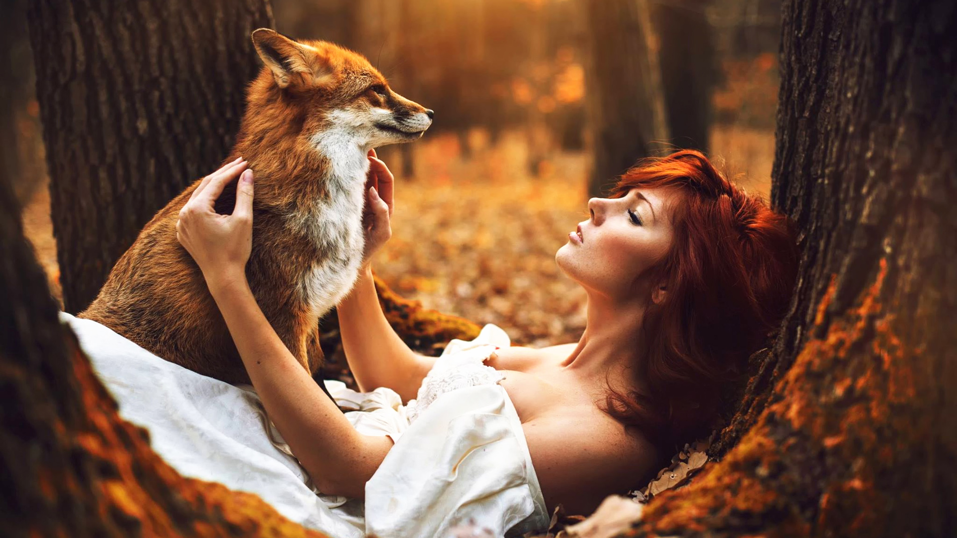 女孩和狐狸，秋天，森林，树木，唯美意境壁纸