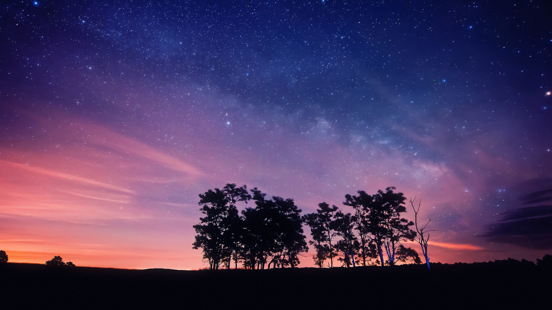 晚上,天空,星星,树木,梦幻般美丽风景桌面壁纸