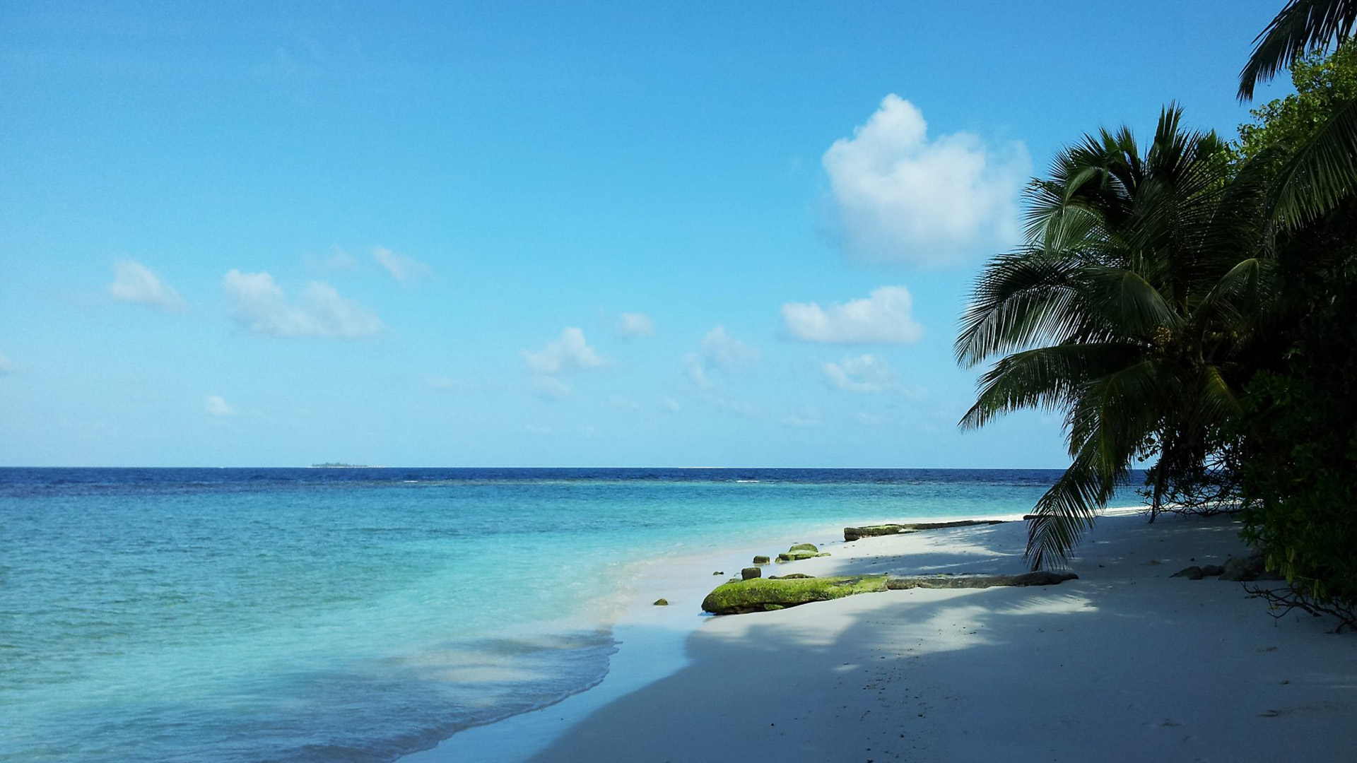 马尔代夫,天堂,海滩,自然壁纸