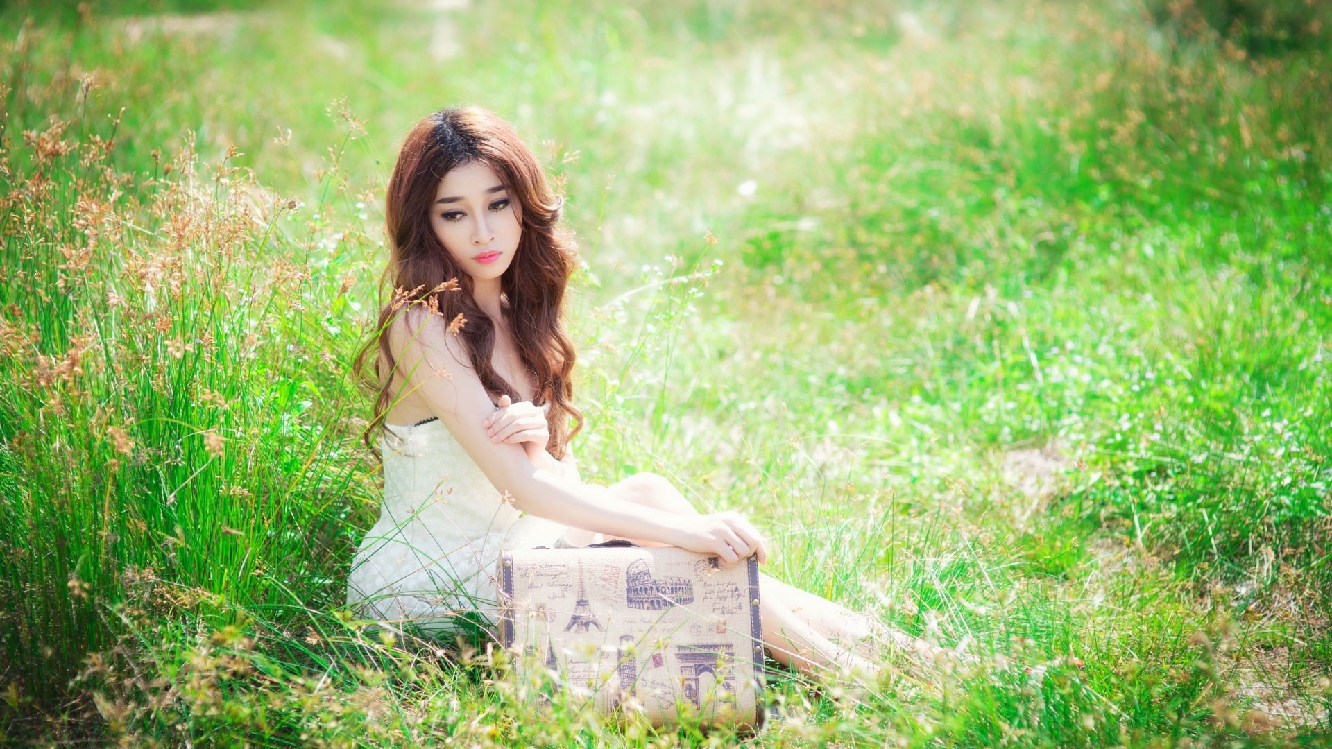 草丛中的美女壁纸