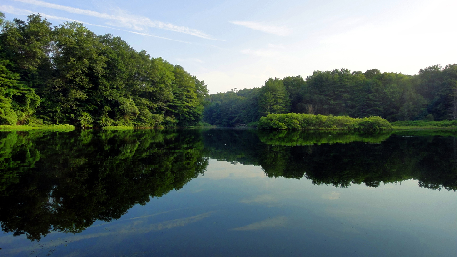 湖泊,树木,绿色,水,自然,美丽安静风景壁纸