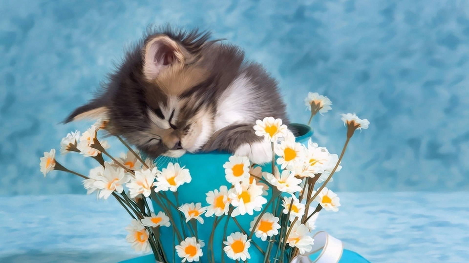 小猫，杯子，鲜花，可爱写真，桌面壁纸