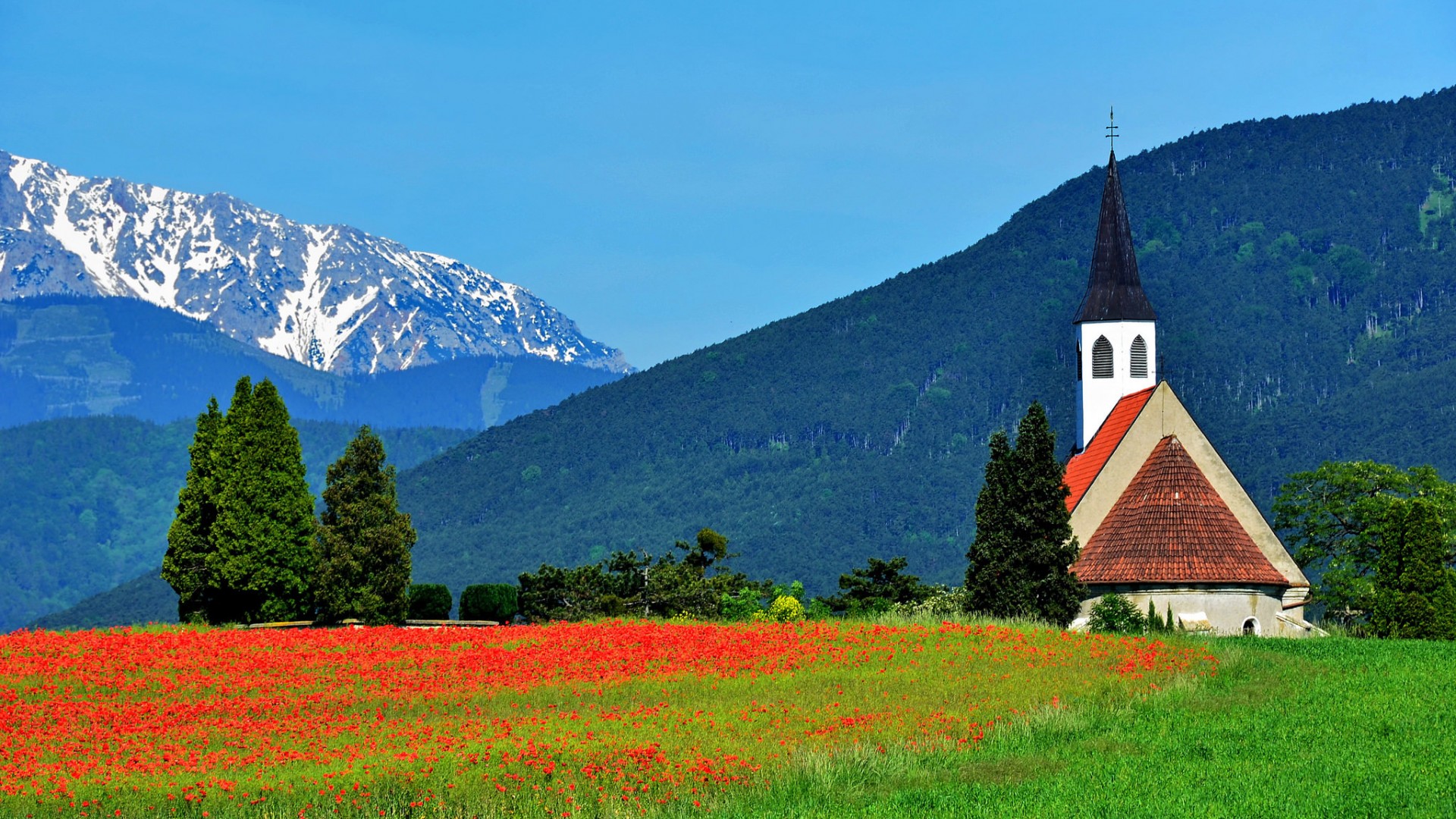 维也纳圣伯多禄教堂,奥地利,阿尔卑斯山,风景桌面壁纸