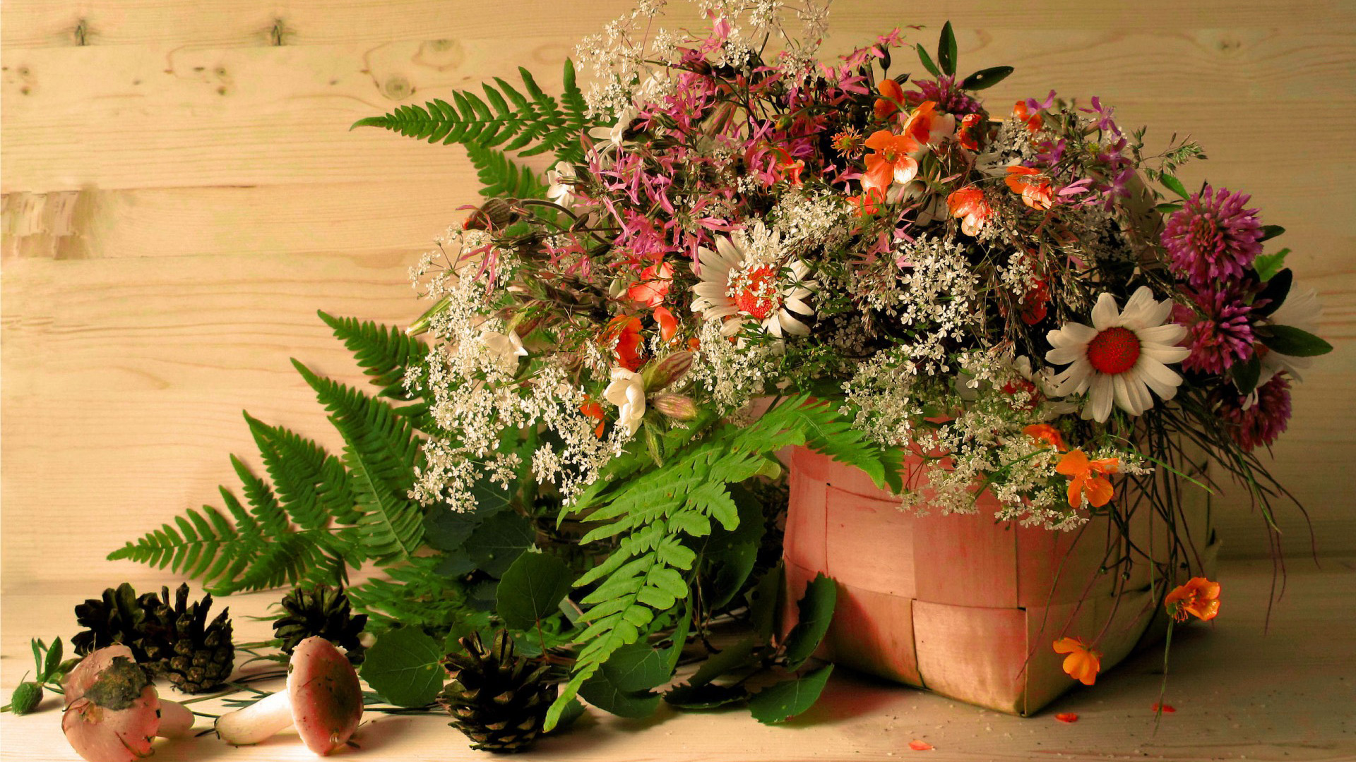 花篮,鲜花,叶子,蘑菇,精美宽屏桌面壁纸