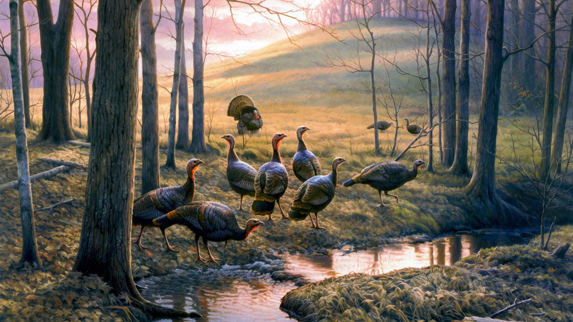 格雷格·亚历山大，绘画，森林，溪流，鸟儿，珍惜的鸟类，主题绘画，唯美意境壁纸