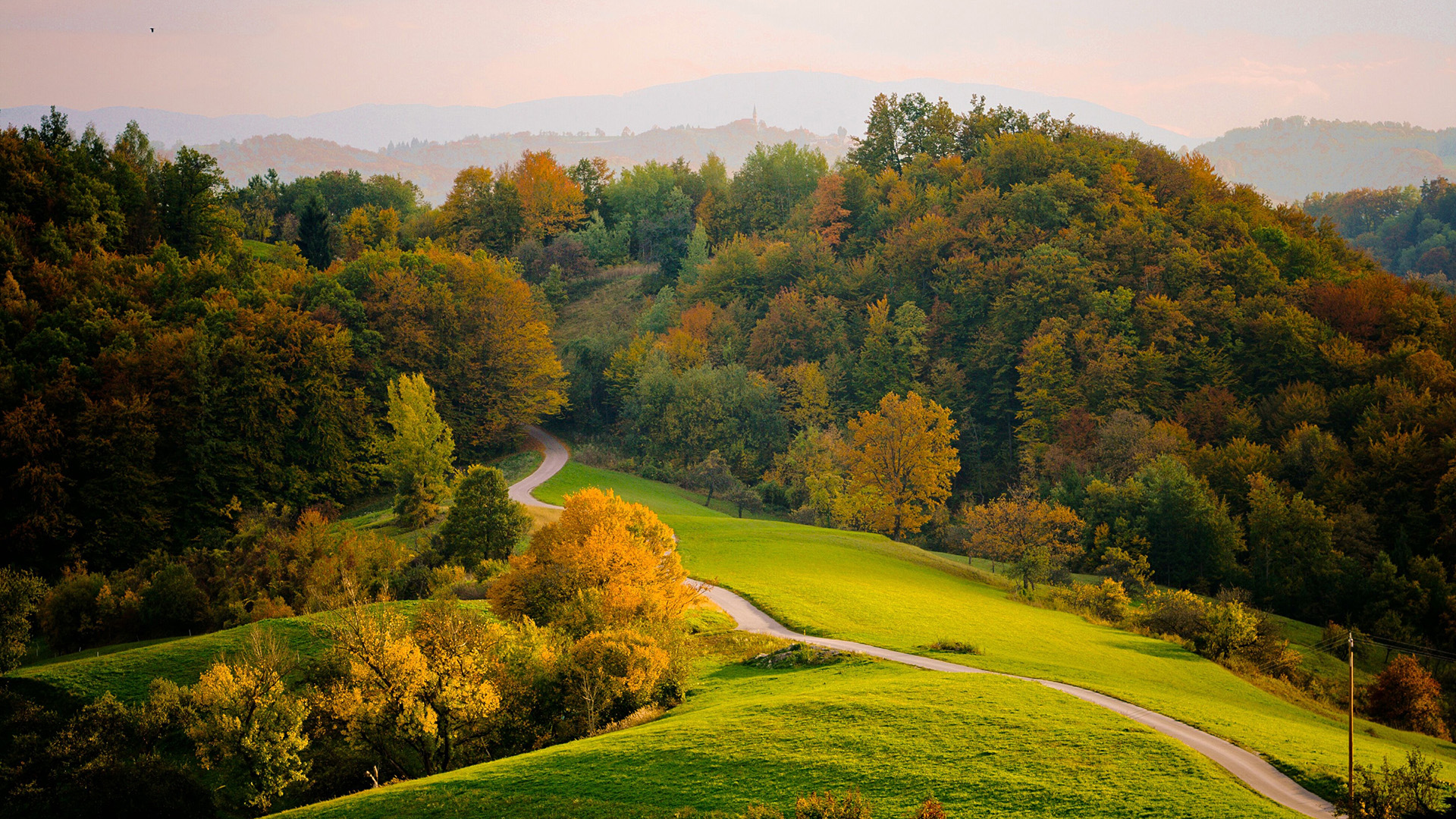 秋天风景,树木,小路,闲逸静谧,风景桌面壁纸