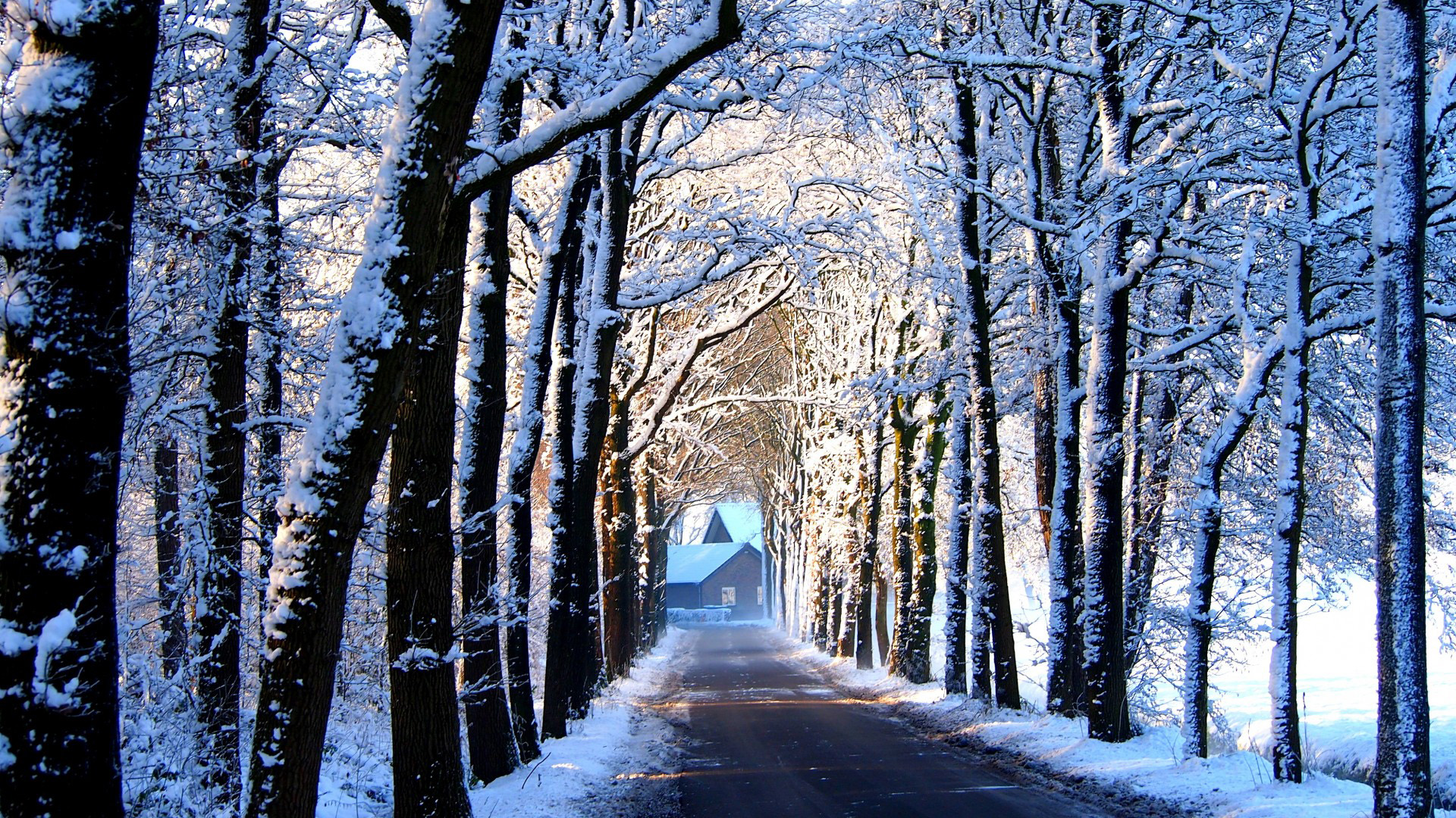 道路,树木,胡同,房子,雪,冬天的图片,桌面壁纸