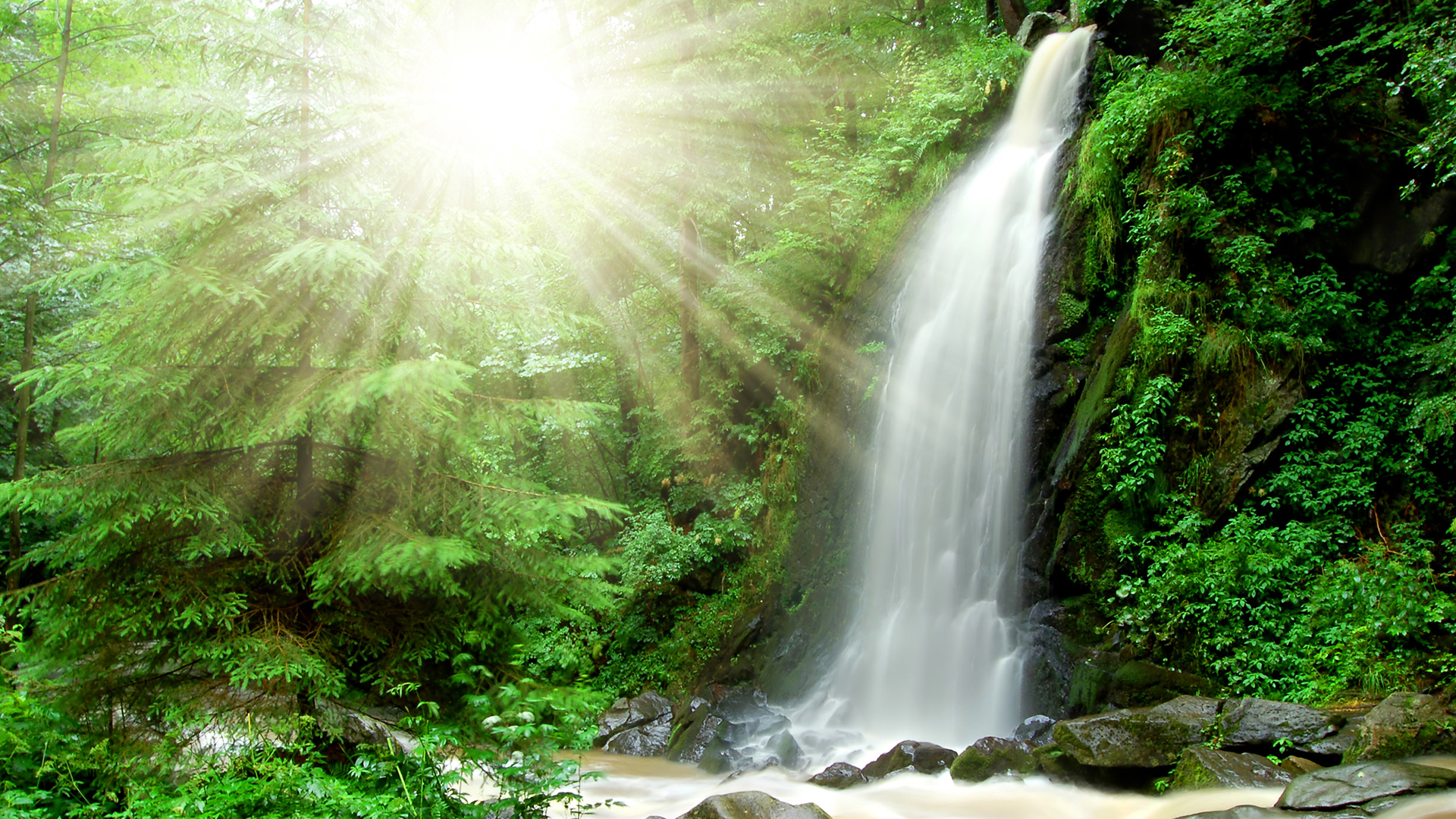 森林 溪流 瀑布 树木 阳光 自然风景桌面壁纸