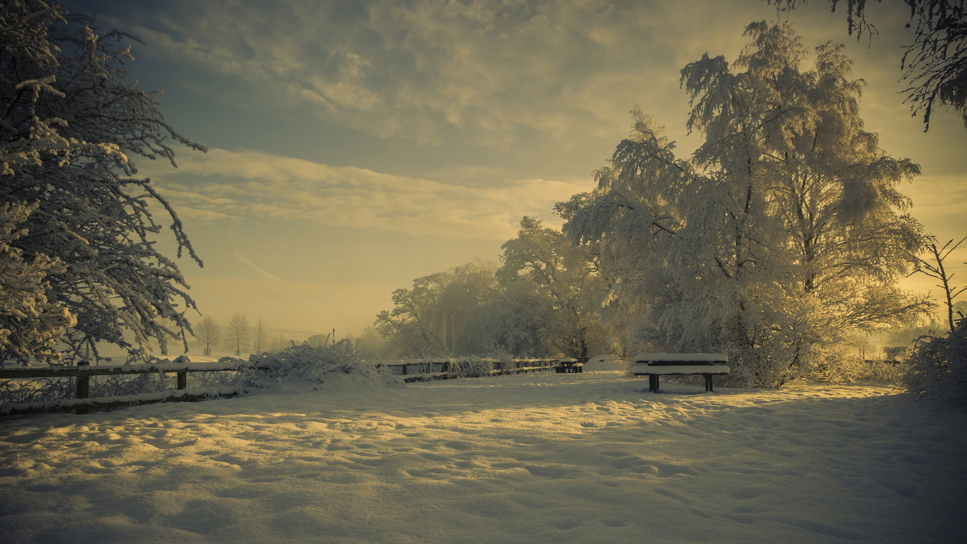 自然,冬季,公园,雪,唯美风景旳桌面壁纸
