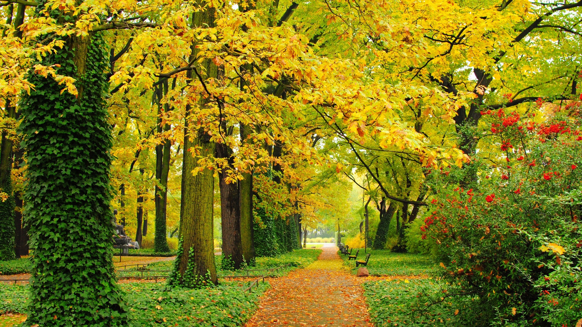 自然公园,树木,树叶,长凳,树叶,小路,秋天的小巷风景桌面壁纸