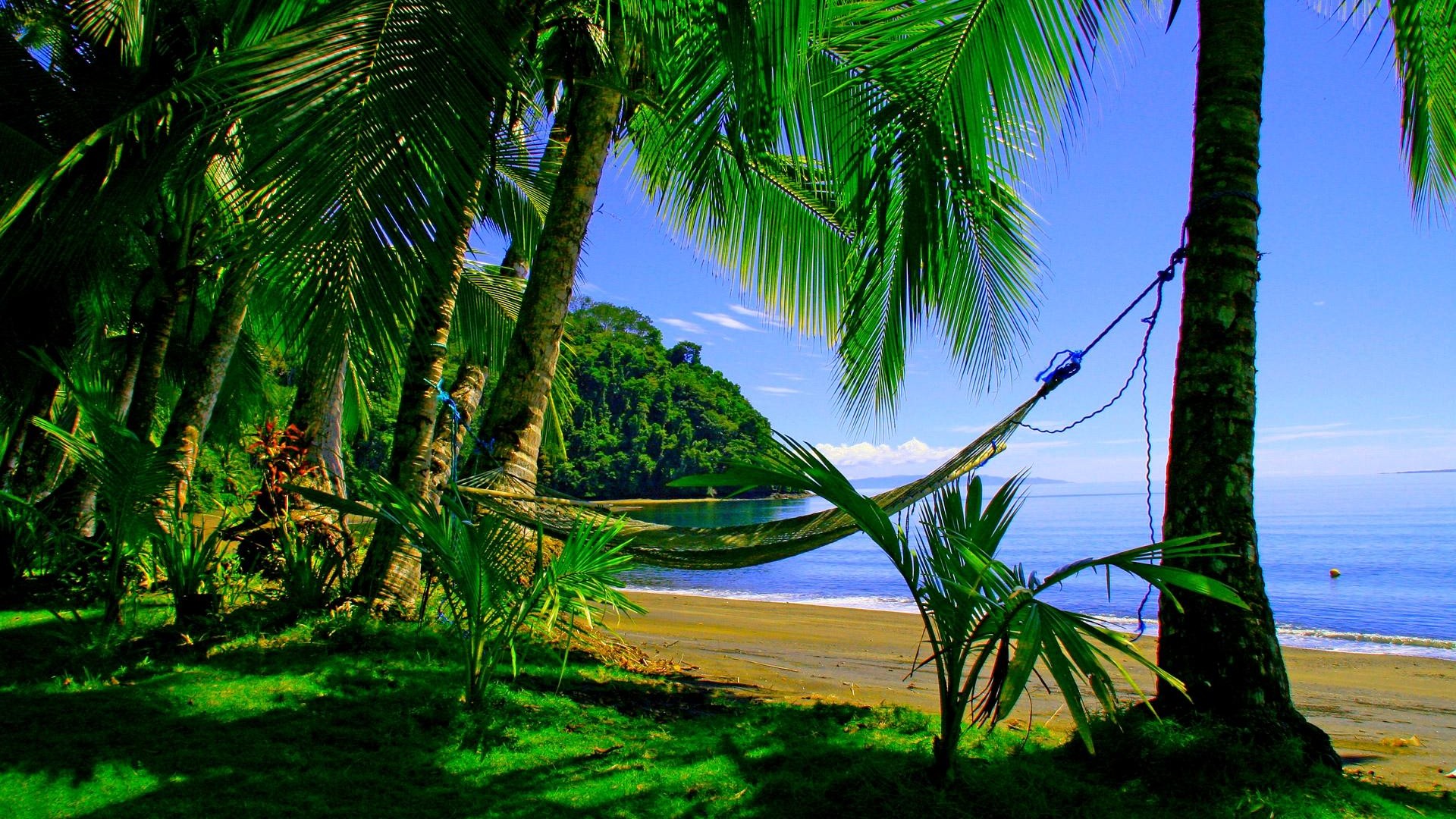 绿色天堂，海岛，海滩，椰树图片，美丽的海边风景桌面壁纸