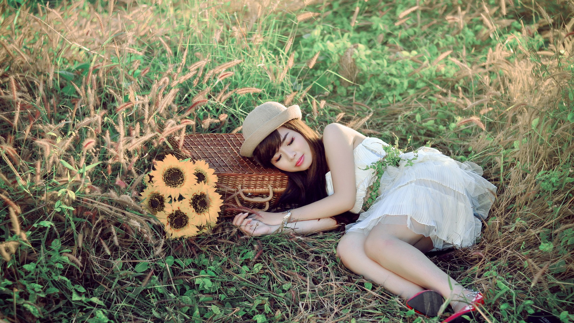 女孩，草地，箱子，入睡，帽子，白色裙子，鲜花，安静，唯美，桌面壁纸