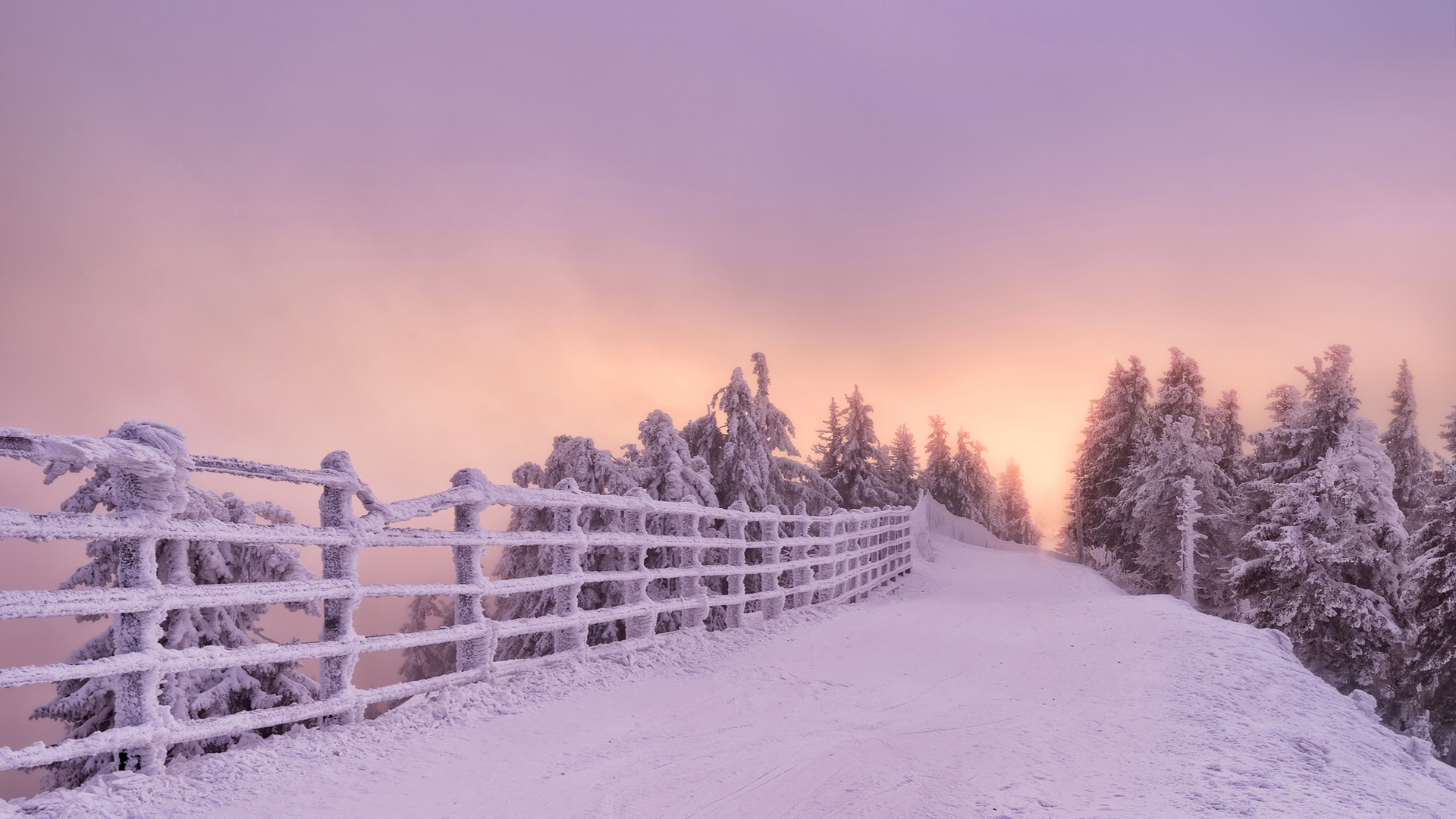 罗马尼亚布拉索夫，冬天，雪的图片，树林，栅栏，风景壁纸