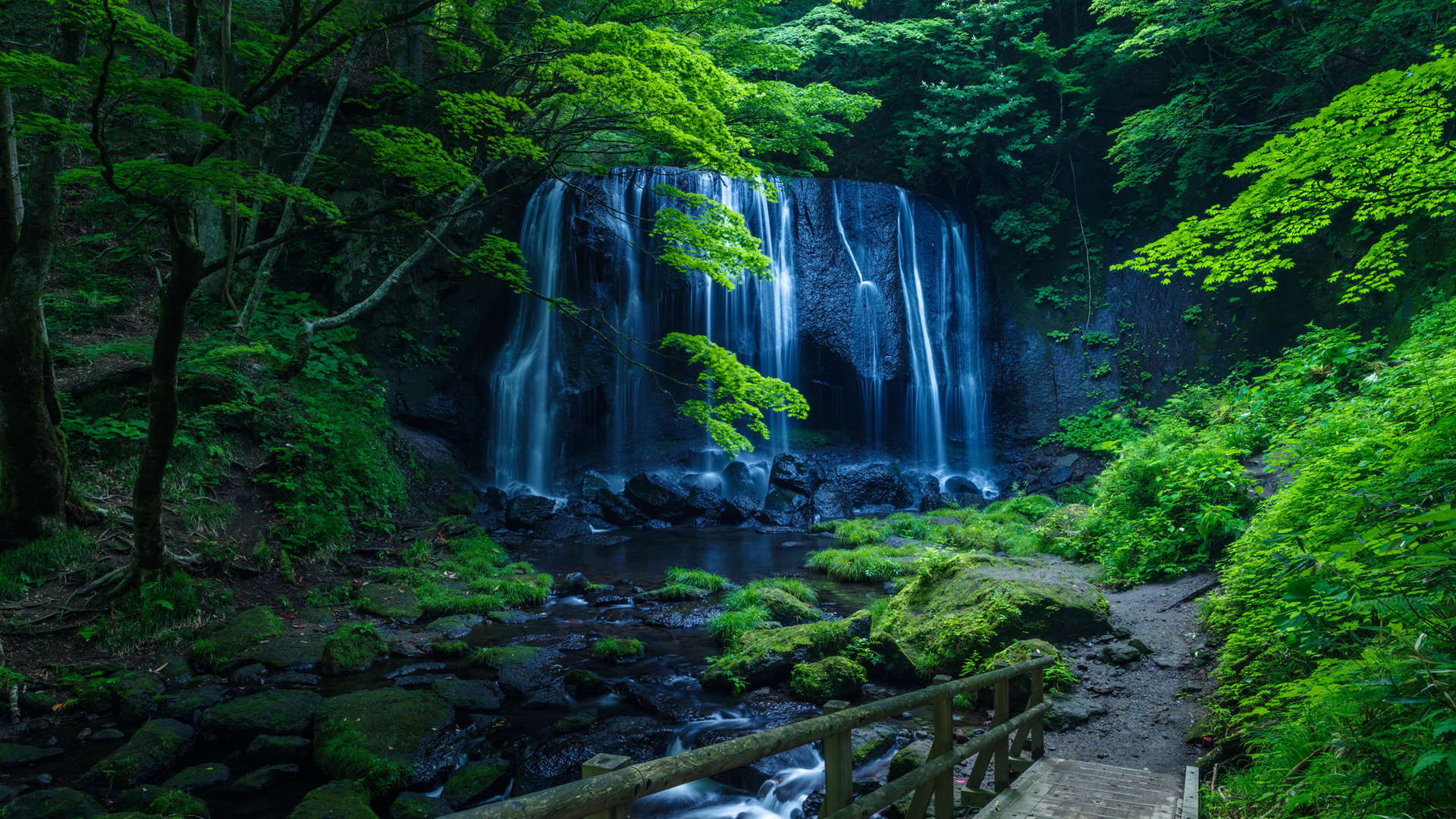大自然 绿色 森林 树木 岩石 溪流 石头 瀑布 青苔 人行桥 2K风景桌面壁纸