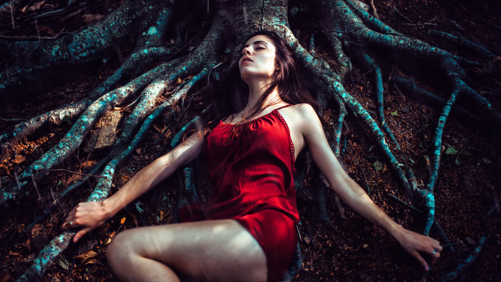 森林的图片,大树,树根,休息,红色睡衣,女孩的梦想,唯美美女壁纸