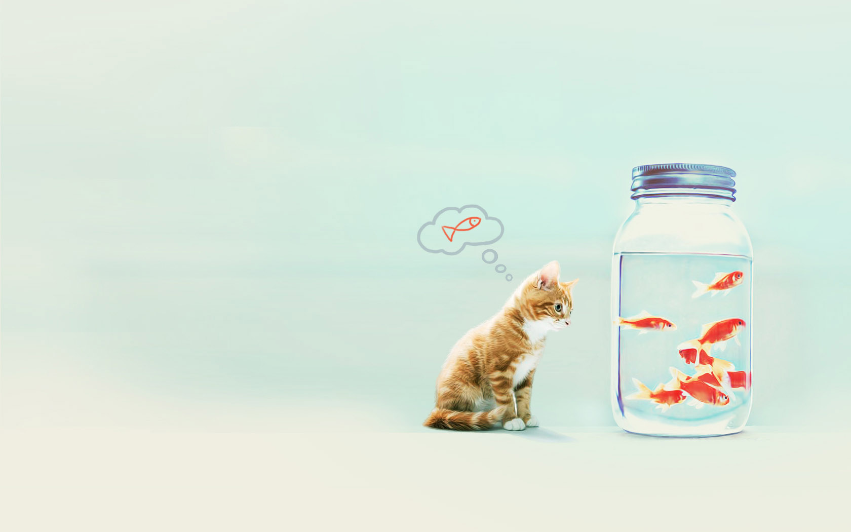 🔥 Download Cats Animals Fish Goldfish Bowls Wallpaper by @malikw | Fish ...