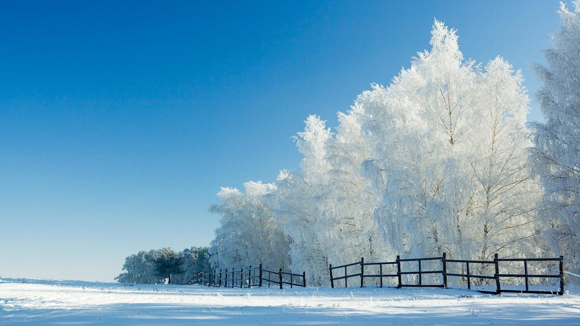 美丽雪景栅栏风景桌面壁纸