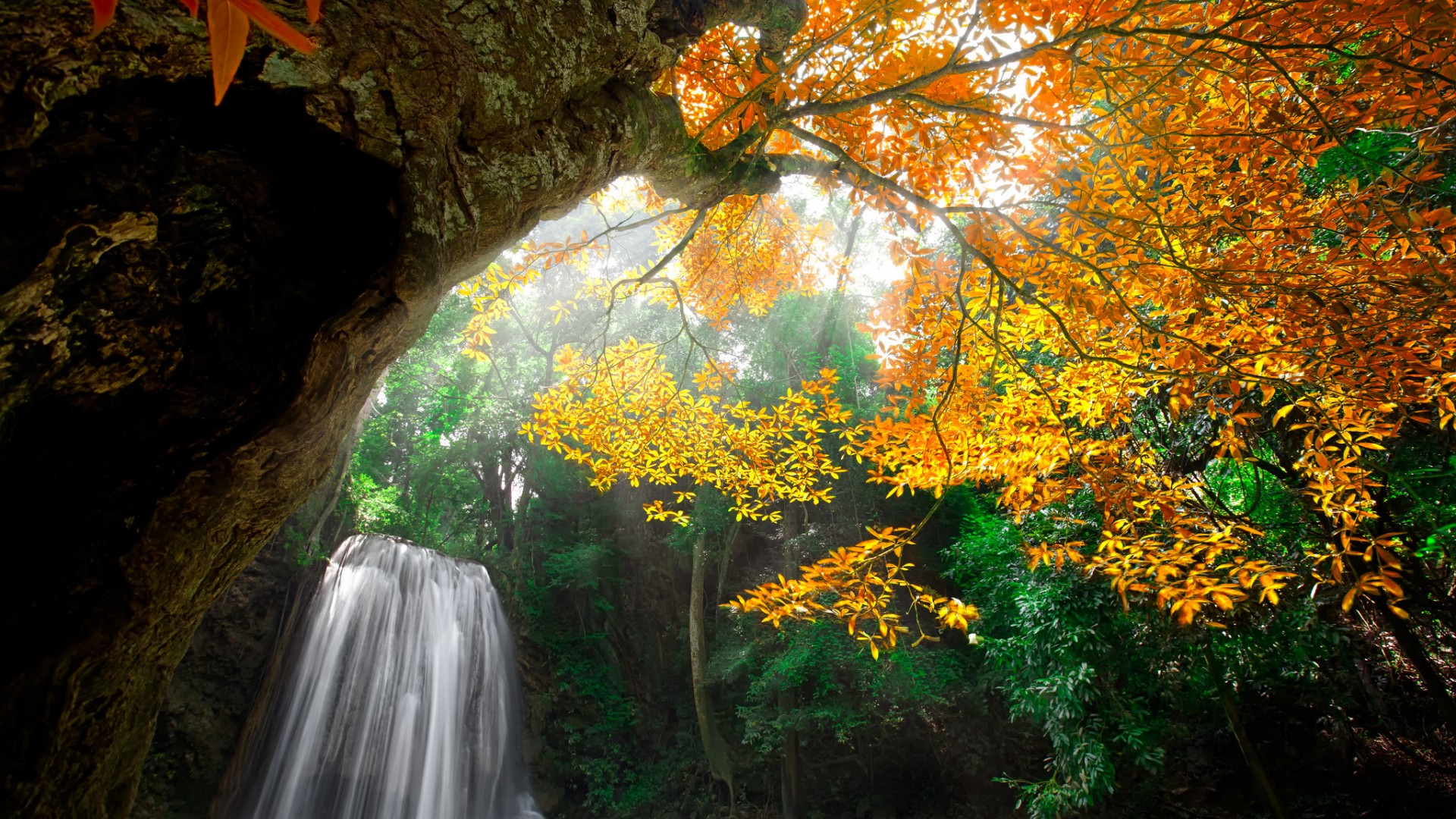 自然,森林,水,瀑布,秋天风景壁纸