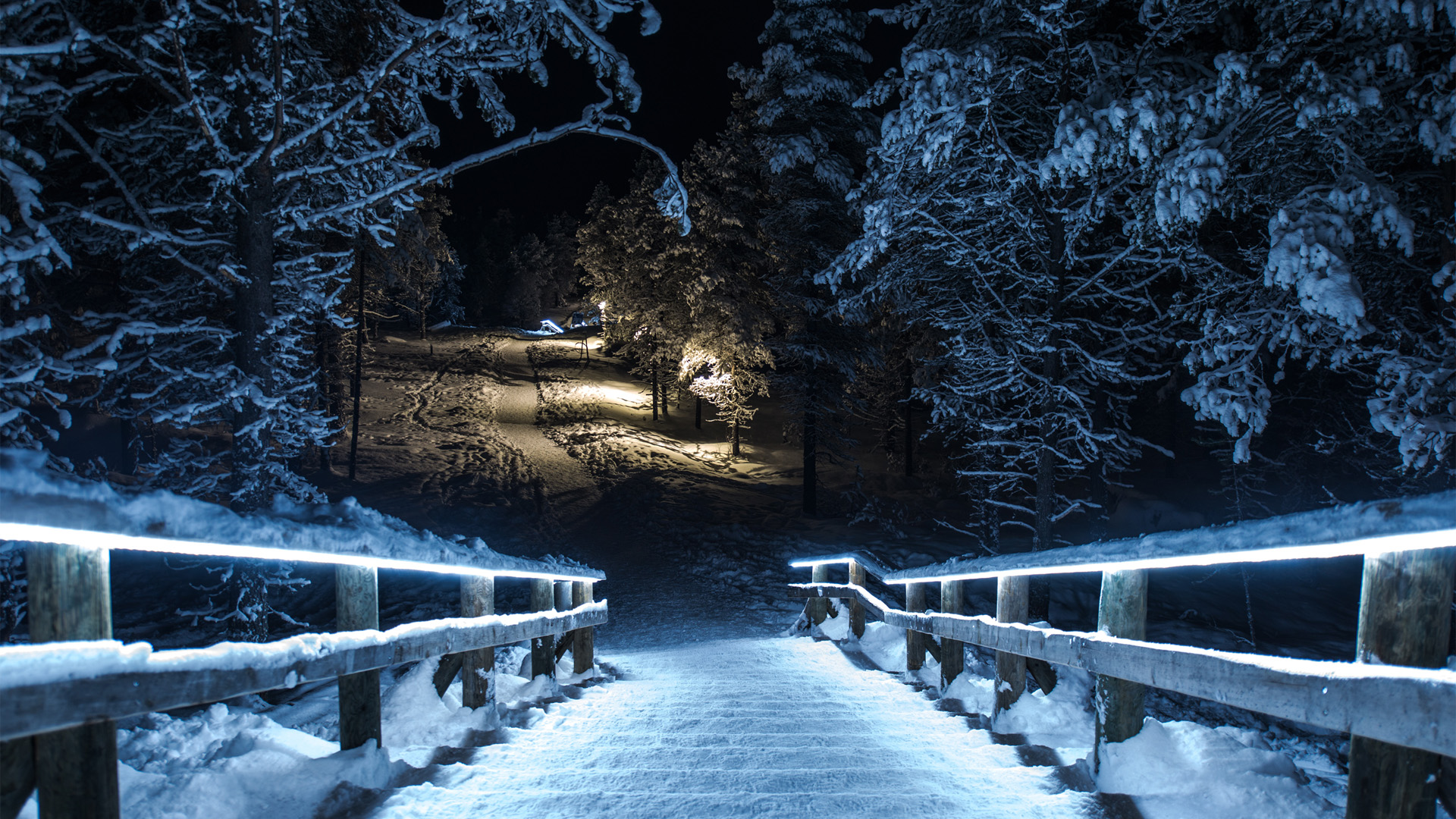 冬天夜晚,树林,雪,公园,栅栏,小路,风景桌面壁纸