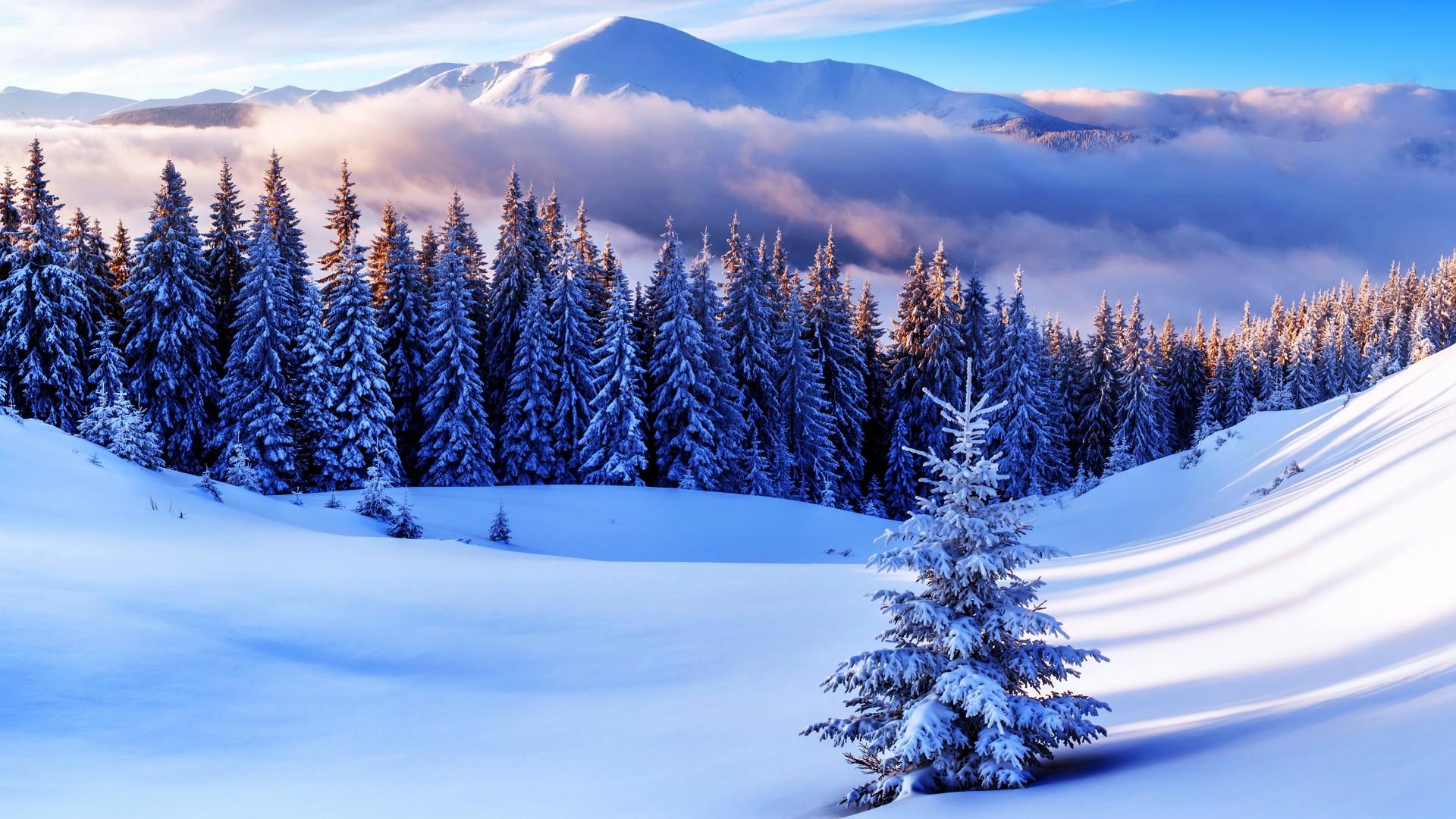 林海雪原 雪山风景 冬天的图片 风景桌面壁纸