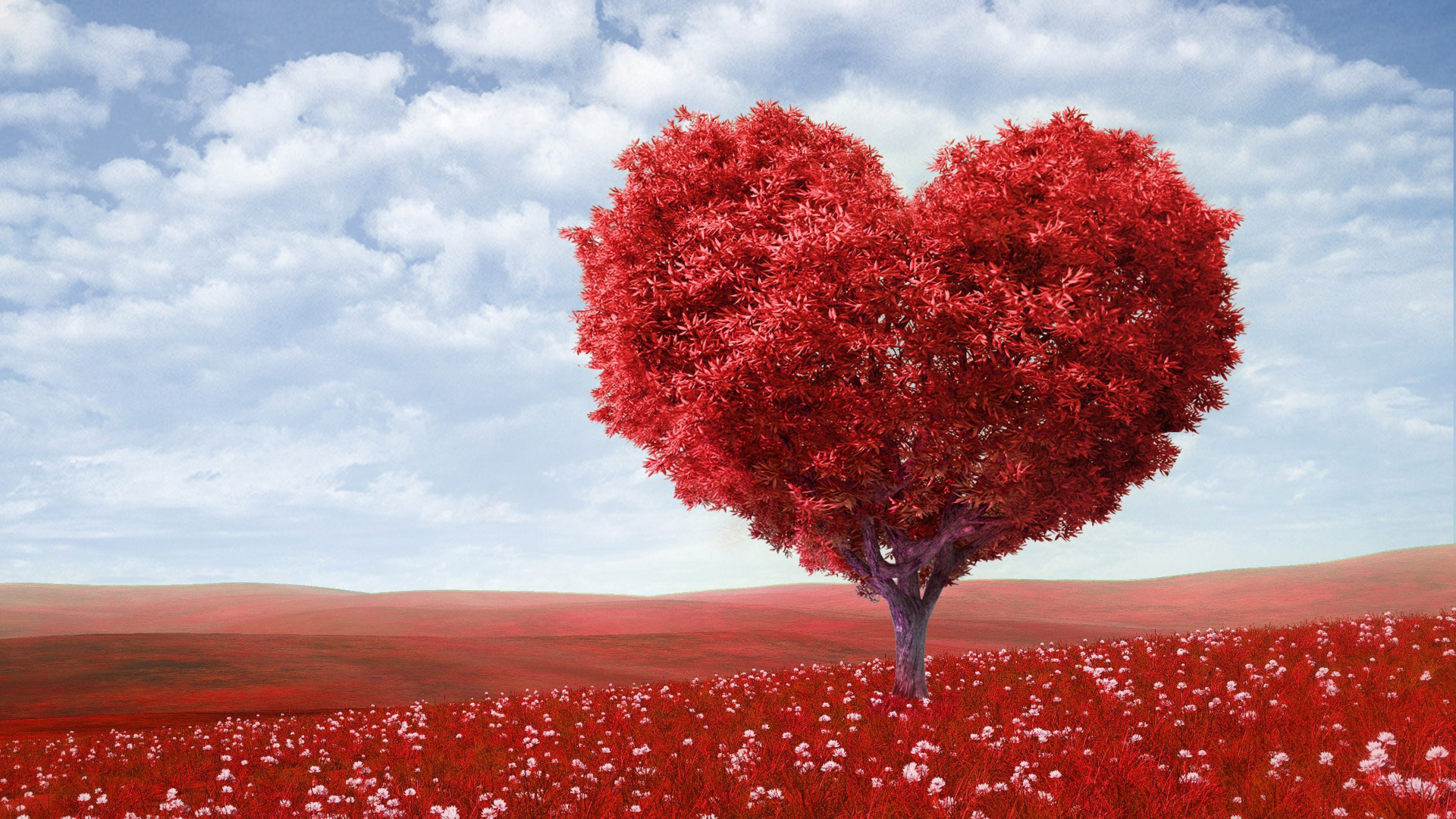 情人节树,红色爱心树,风景桌面壁纸