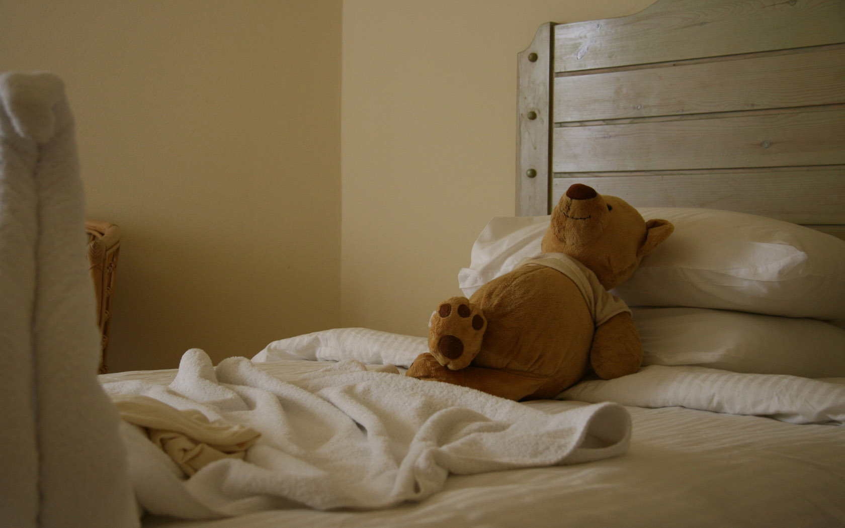 晚安玩具熊桌面背景图片