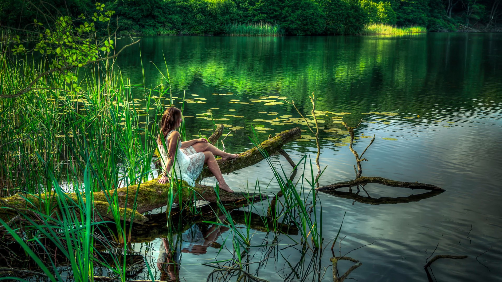 夏天,湖水,木桩,女孩的照片,美女,风景壁纸