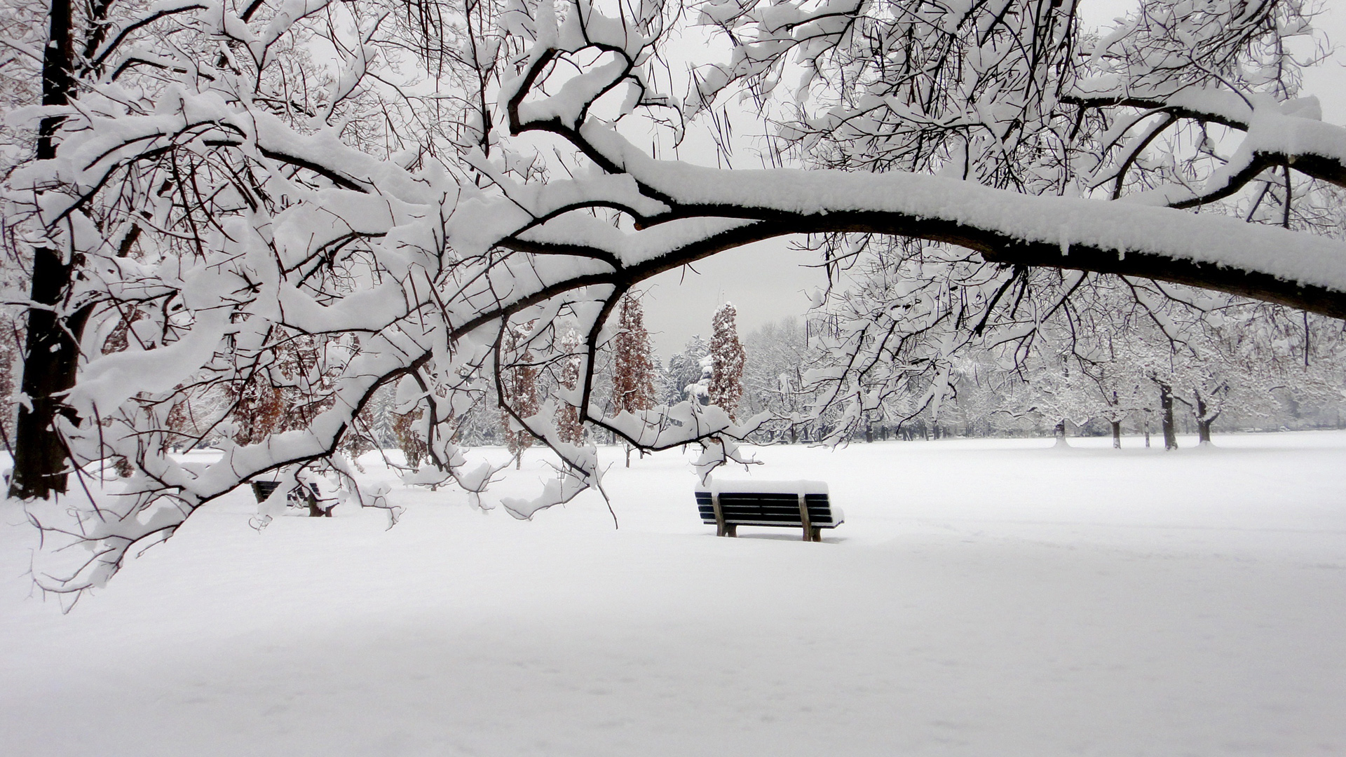 冬天的雪公园椅子风景桌面壁纸