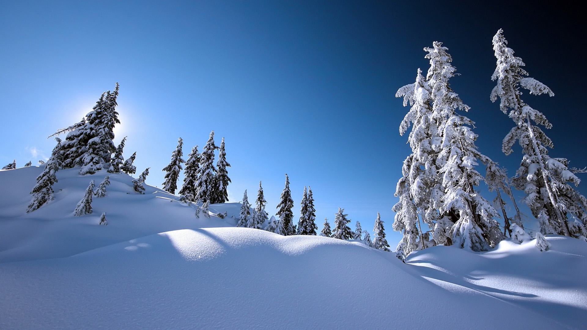 冬日雪景壁纸，绝美风光，免费下载，装点你的电脑桌面