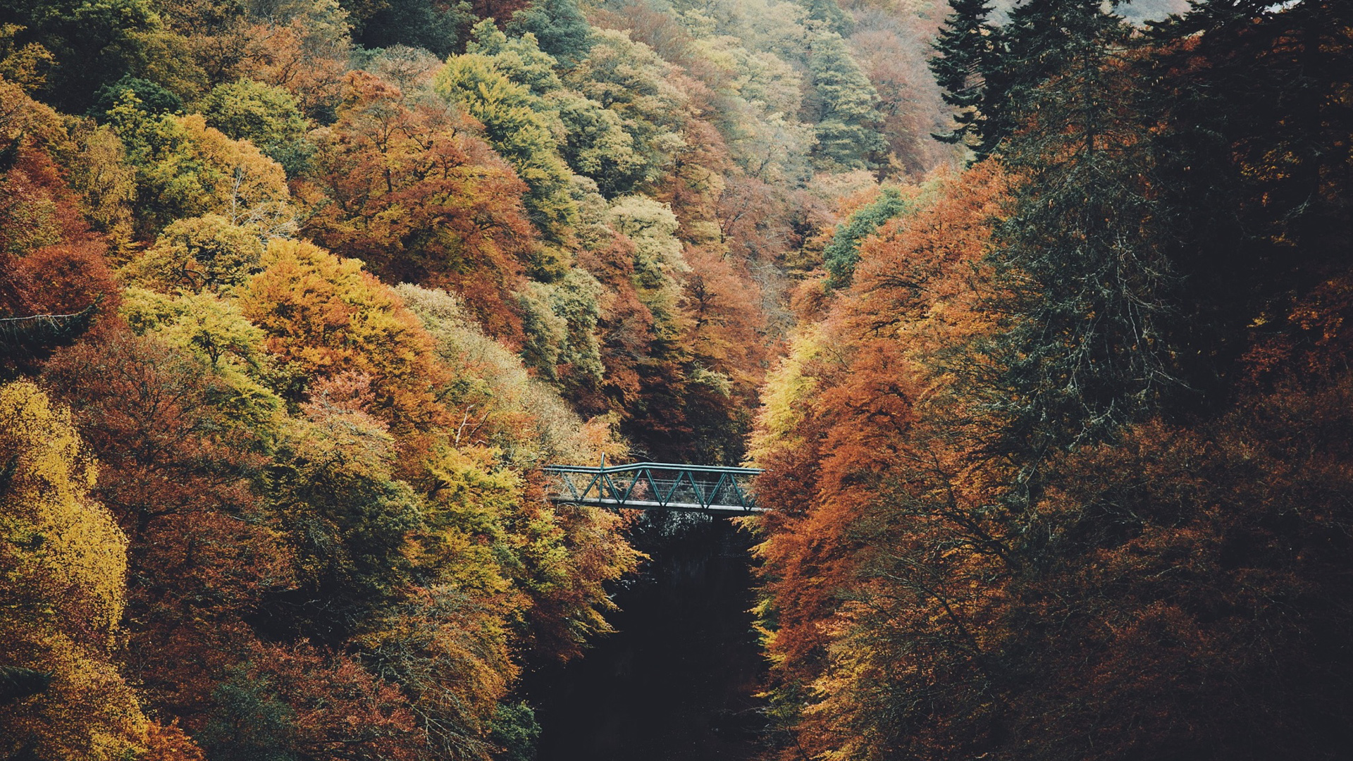秋天 树木 自然 河流 小桥 风景桌面壁纸