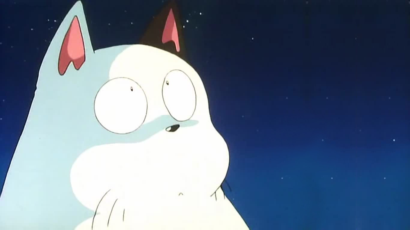 可爱大龙猫桌面壁纸