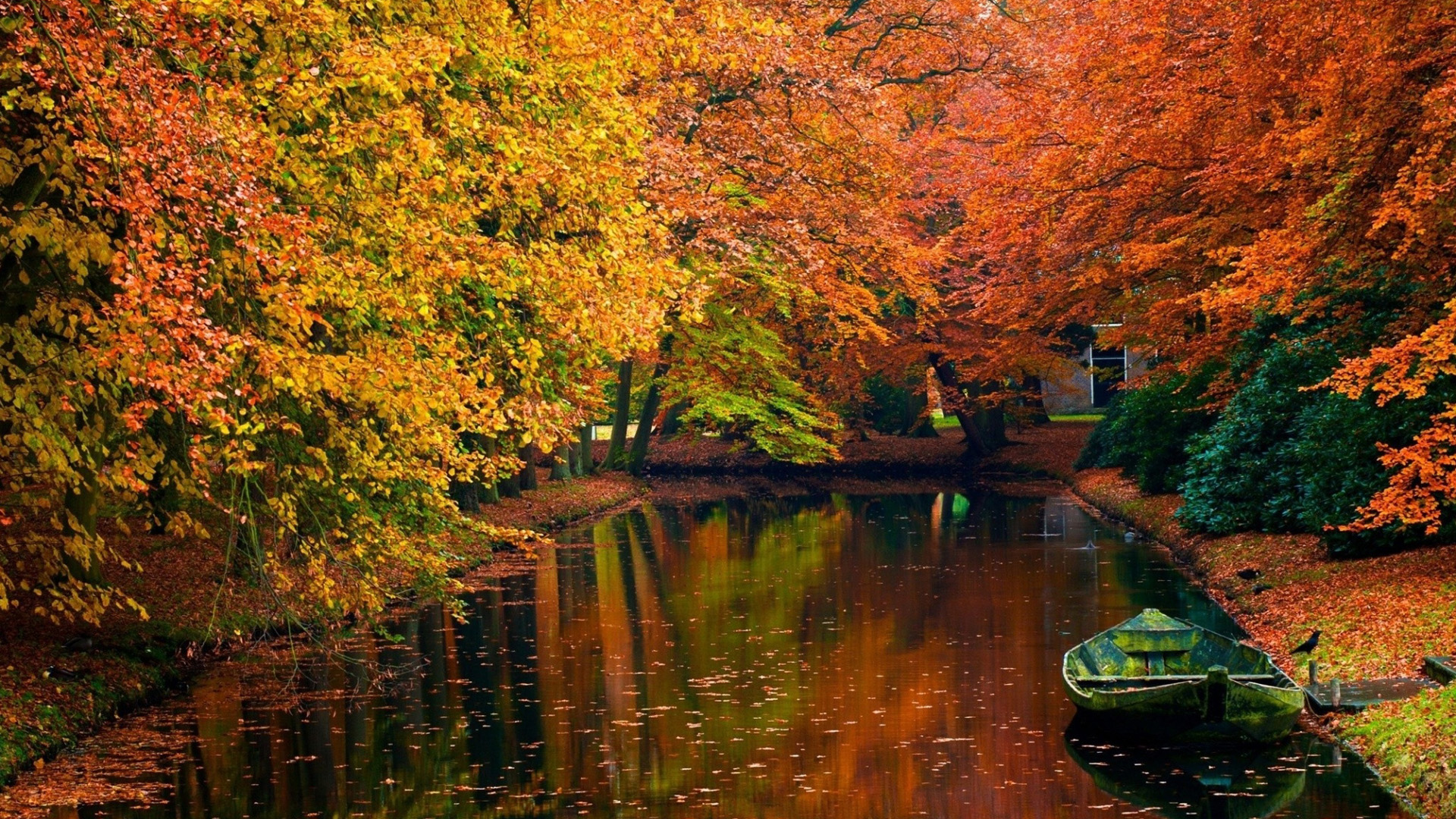 湖,小船,公园,树林,落叶,秋天风景高清桌面壁纸