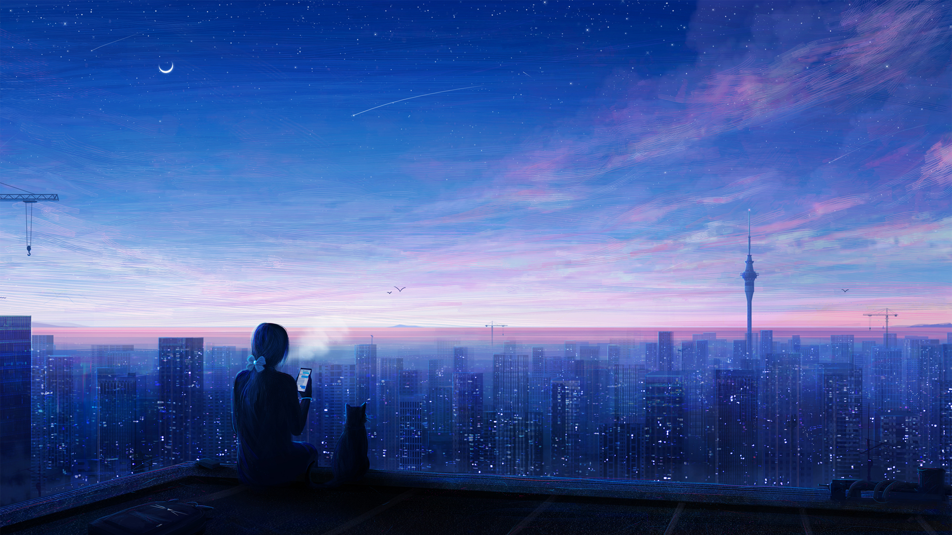城市 夜晚 星空 女孩 手机 猫 唯美动漫风景2k壁纸