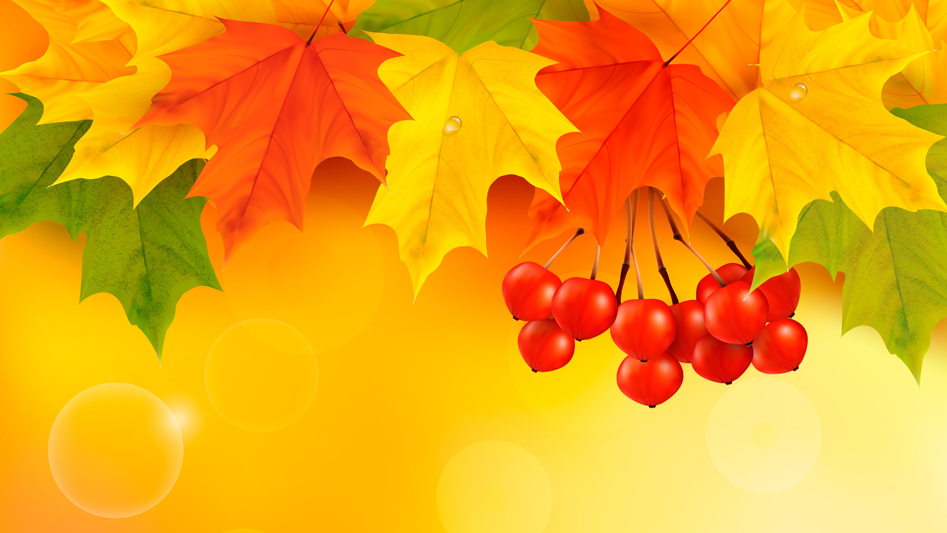 秋天，叶子，枫叶，果实，桌面壁纸